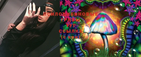 PSILOCYBIN Абинск