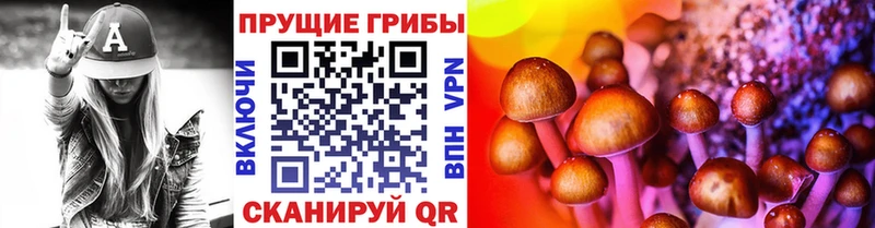 Галлюциногенные грибы Psilocybine cubensis  что такое наркотик  Урень 